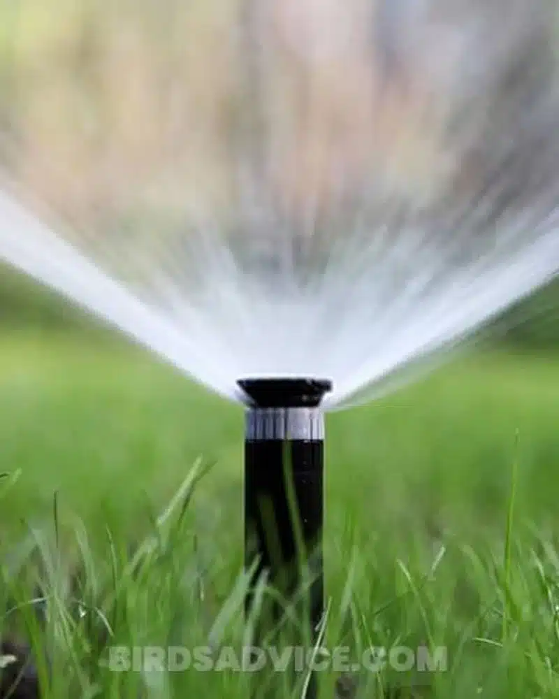 irrigation-5